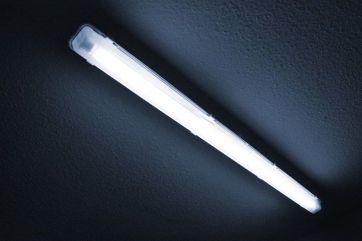 Black Pear Electrical | Essential guide to electrical safety in the office - neon tube lighting